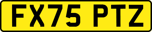 FX75PTZ