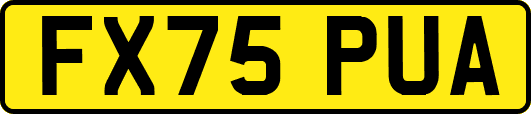 FX75PUA