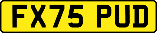 FX75PUD