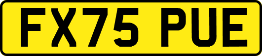 FX75PUE