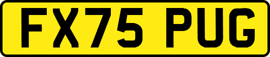 FX75PUG