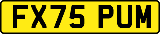 FX75PUM