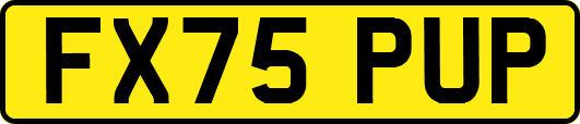 FX75PUP