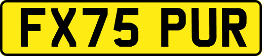 FX75PUR
