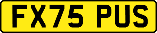FX75PUS