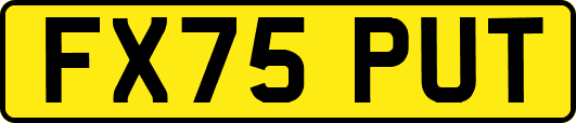 FX75PUT