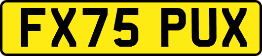 FX75PUX