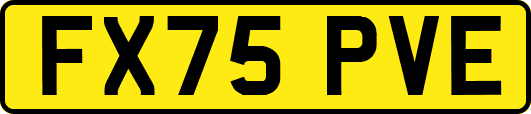 FX75PVE