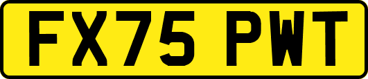 FX75PWT