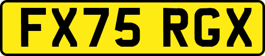 FX75RGX