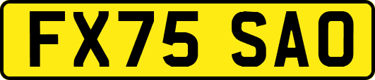 FX75SAO