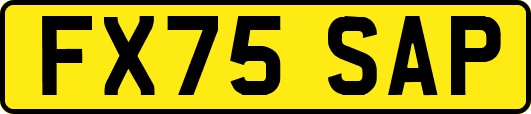 FX75SAP