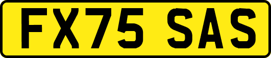 FX75SAS