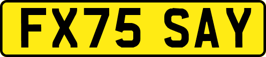 FX75SAY