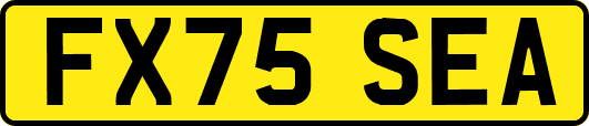 FX75SEA