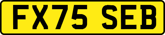 FX75SEB