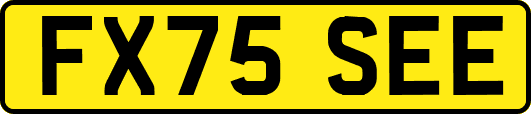FX75SEE