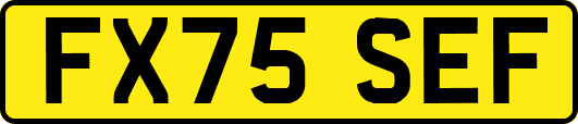 FX75SEF