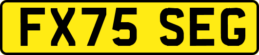 FX75SEG