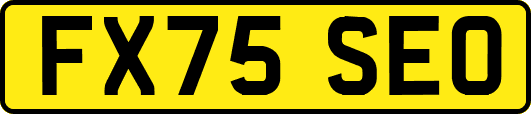 FX75SEO
