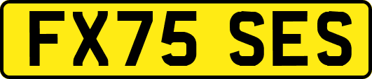 FX75SES