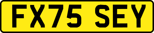 FX75SEY