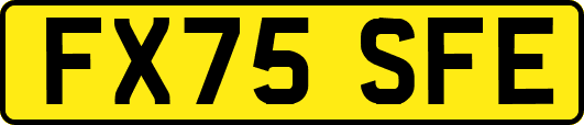 FX75SFE