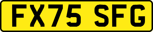 FX75SFG