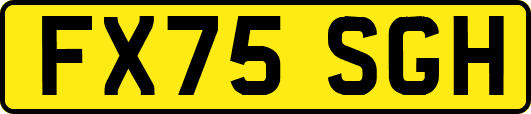 FX75SGH