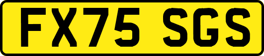 FX75SGS