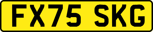FX75SKG