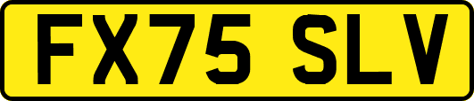 FX75SLV