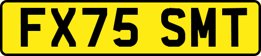 FX75SMT