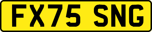 FX75SNG
