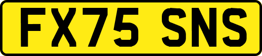 FX75SNS