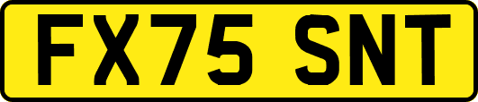 FX75SNT