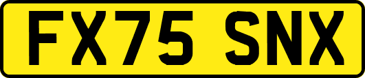 FX75SNX
