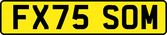 FX75SOM