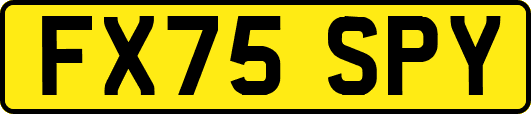 FX75SPY