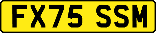 FX75SSM