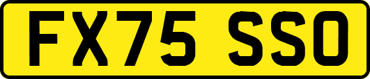 FX75SSO