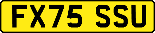 FX75SSU