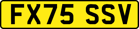 FX75SSV