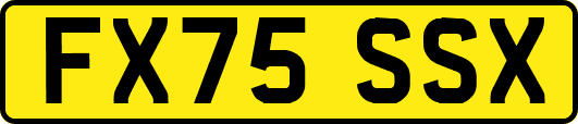 FX75SSX