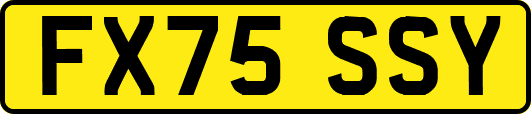FX75SSY