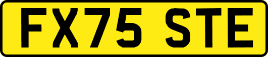 FX75STE