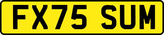 FX75SUM