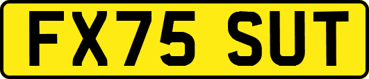 FX75SUT