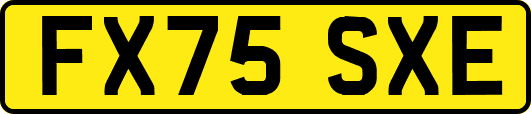 FX75SXE