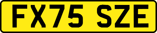 FX75SZE